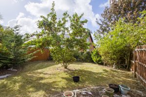 Photo 7- click for photo gallery